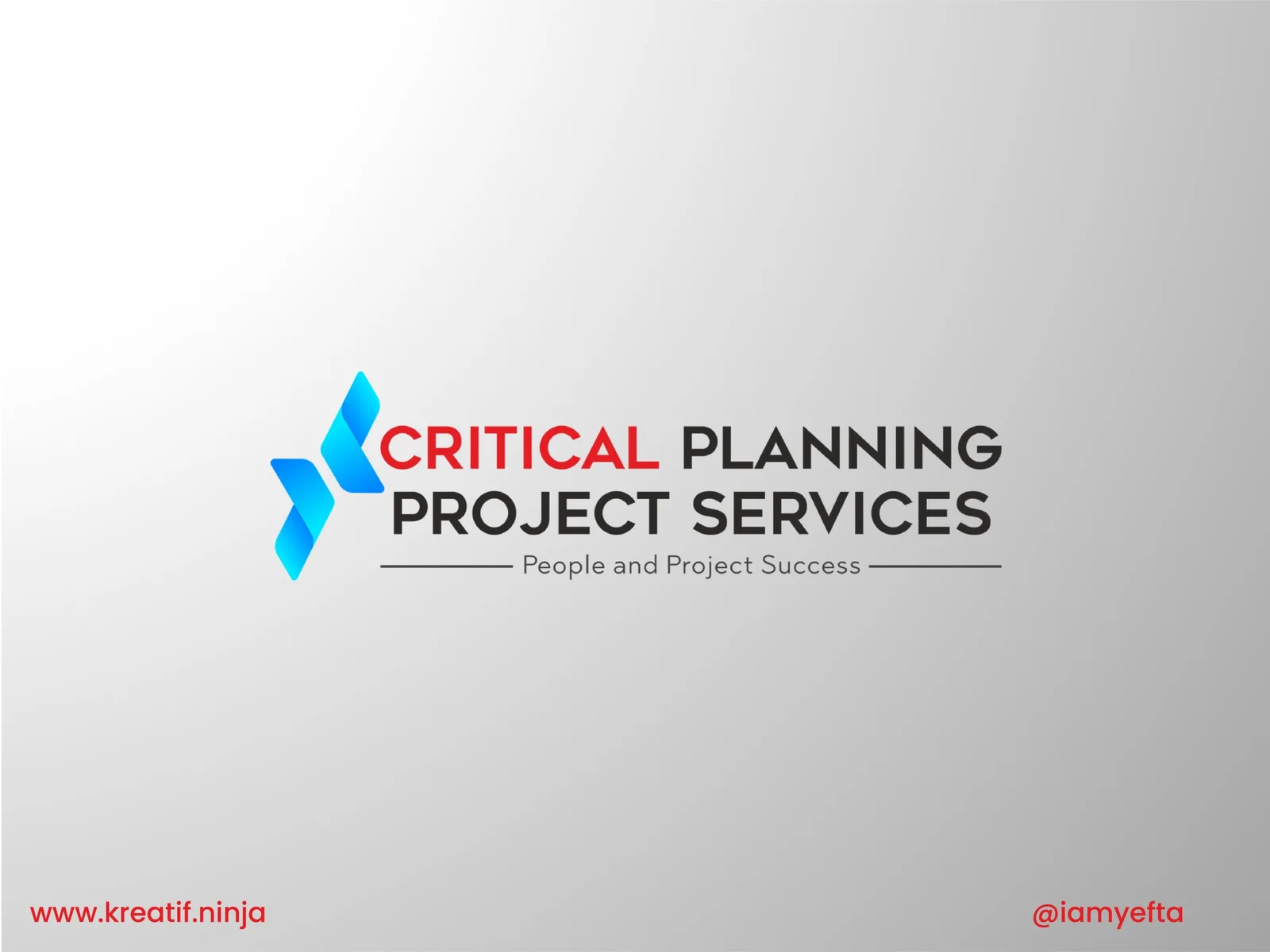 Critical Planning Project Services